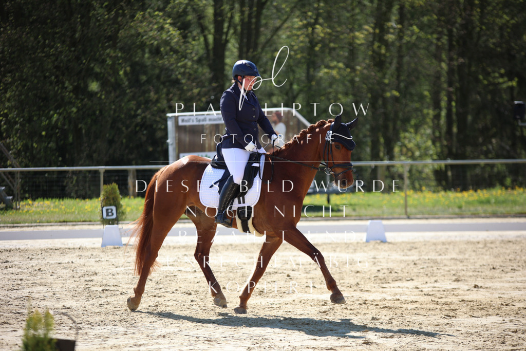 IMGT9872 | pl-fotografie