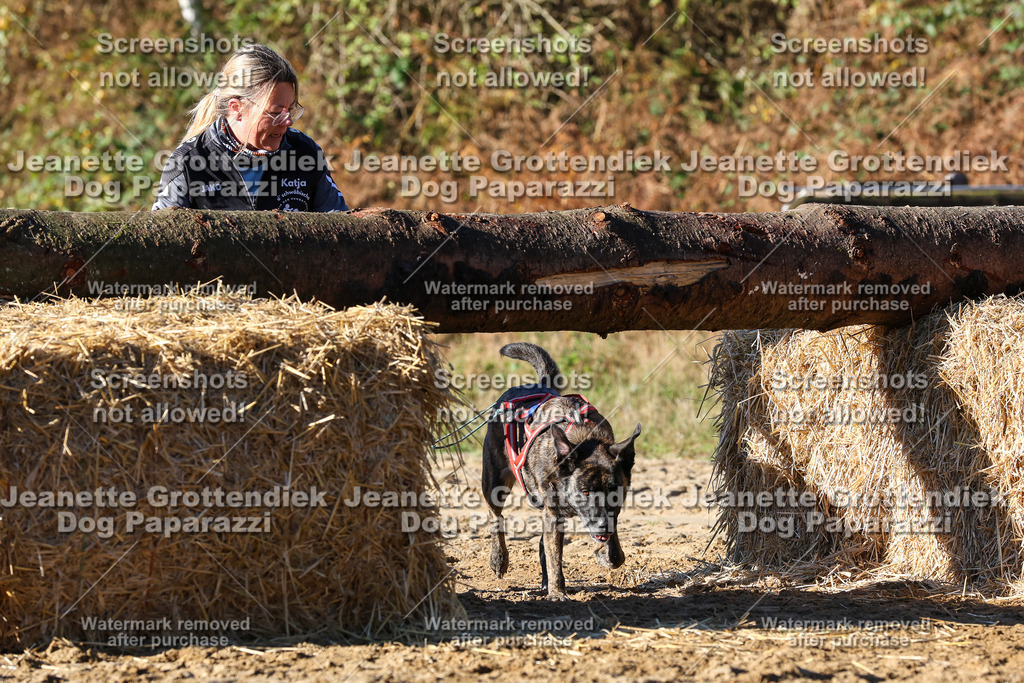 Dog Paparazzi - Strongdog 10-25-1692 | Dog Paparazzi Jeanette Grottendiek Fotografie & Videografie