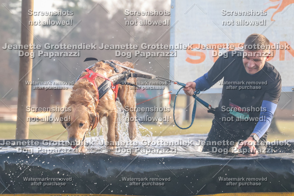 Dog Paparazzi - SD North Sa 830-900-196 | Dog Paparazzi Jeanette Grottendiek Fotografie & Videografie - Realisiert mit Pictrs.com