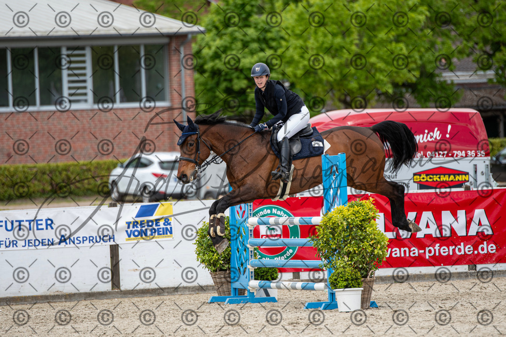 KPT_5689 | andre_photographic