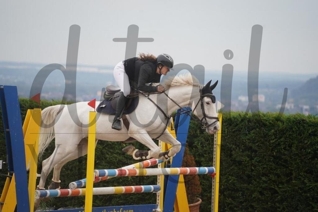 pfmagarethenhof (445) | d.tail Visions - Shop - Realisiert mit Pictrs.com