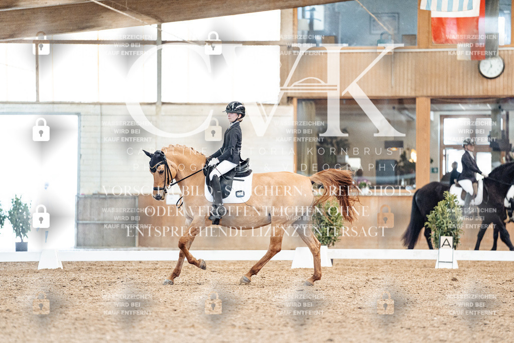 CK909630 | Turnierfotografie Pferdefotografie Trier Rheinland-Pfalz Pferdesport Reitsport Tierfotografie Sportfotografie Pferdevideo Pferdevideografie Equestrianvideography equestrianphotography  - Realisiert mit Pictrs.com
