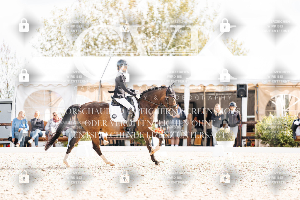 CK901665 | Turnierfotografie Pferdefotografie Trier Rheinland-Pfalz Pferdesport Reitsport Tierfotografie Sportfotografie Pferdevideo Pferdevideografie Equestrianvideography equestrianphotography  - Realisiert mit Pictrs.com