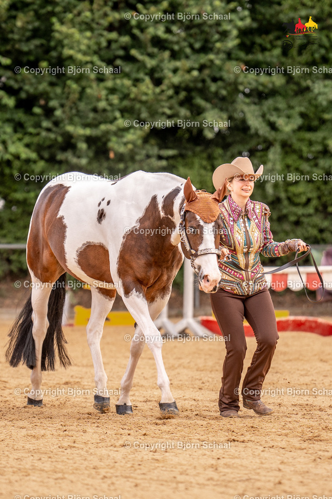 LMS06650 | BS-foto