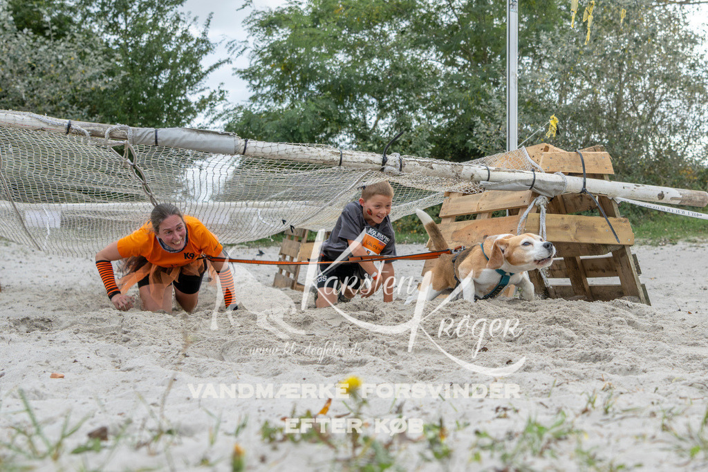 1538_ZZ96052 | kk-dogfotos