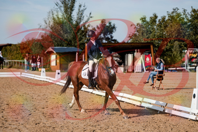 2026_10_03_Siefer-Hof_123711_Z63_55107710 | Professionelle Reitsport-, Turnier- und Eventfotografie von Robert Broda. Galerien mit ausgewählten und bearbeiteten Bildern direkt online ansehen und bestellen.