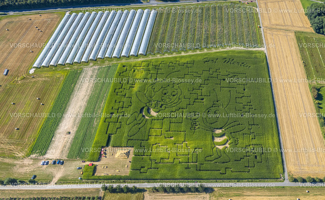 Dortmund240804587 | Luftbild, Wiese und Feld mit Muster und Kunstwerk Biene Maja und Willi Figuren, Hof Mertin Bönninghauser Straße, Formen und Farben, Hostedde, Dortmund, Ruhrgebiet, Nordrhein-Westfalen, Deutschland