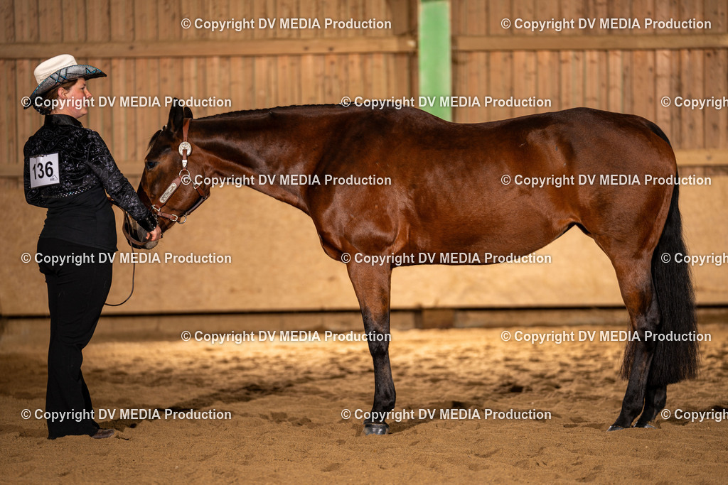 Balingen Tag 1-25 | dv-media-shop - Realisiert mit Pictrs.com