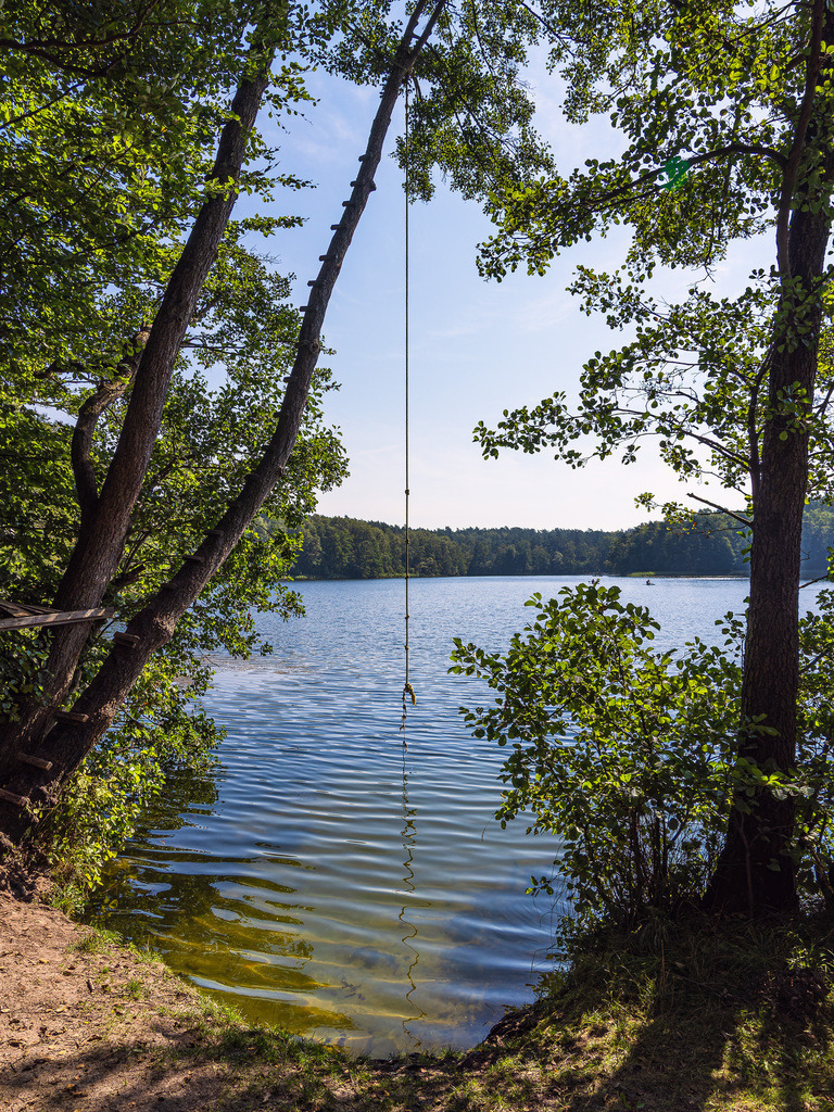 Bäume und Badestelle am Pipersee bei Salem | Bäume und Badestelle am Pipersee bei Salem.