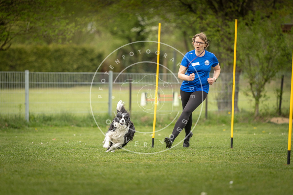 Pfotenfotografie_DV3A2040 | Hundefotografie, Tierfotograf, Pfotenfotografie, Fotoshooting Hund, Hunde Portrait, Hundesport, Hundeportraits, Heideshooting, Hunde, Sportfotograf, Hundefotograf, Turnierhundsport, THS,  - Realisiert mit Pictrs.com