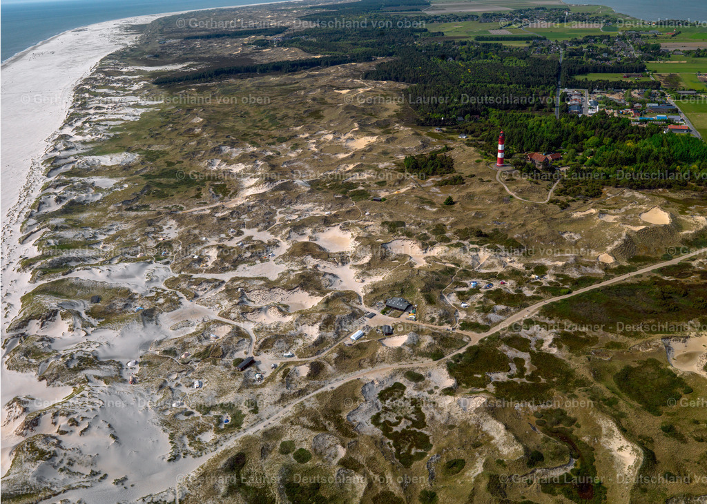 3091060 | Amrumer Dünen, Amrum, Nationalpark Schleswig-Holsteinisches Wattenmeer