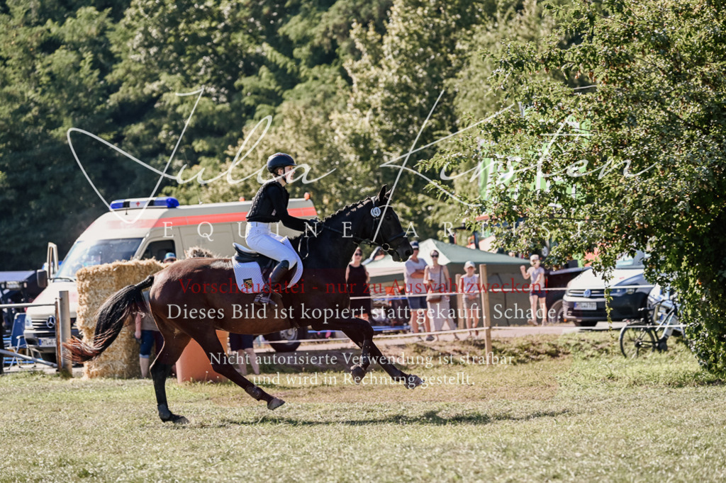DSC_3407 | Pferde- und Turnierfotografie in Westsachsen. Pferdeportraits, Auftragszeichnungen und intuitive Kunst.