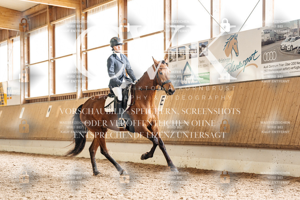 CK900387 | Turnierfotografie Pferdefotografie Trier Rheinland-Pfalz Pferdesport Reitsport Tierfotografie Sportfotografie Pferdevideo Pferdevideografie Equestrianvideography equestrianphotography  - Realisiert mit Pictrs.com