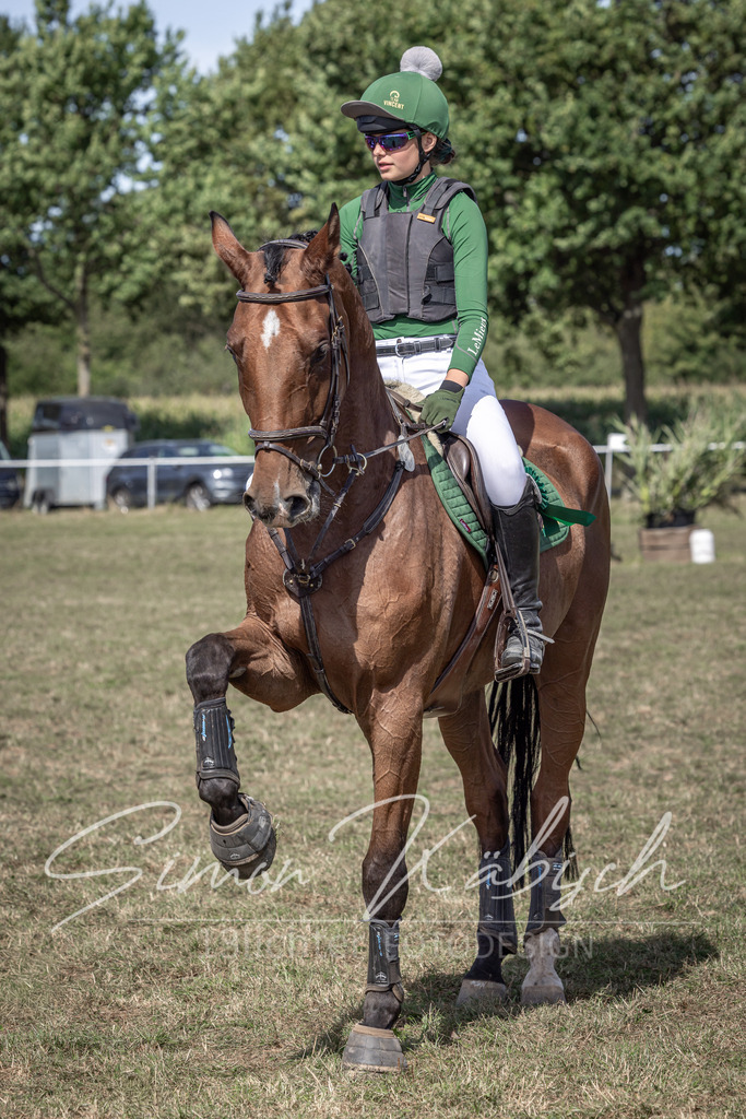 20250907-_3LI0314 | Tierfotografie Pferde, Hunde, Katzen, Haustiere.
Turnierfotografie Reitturniere, Reiten, Springreiten, Dressur in Hanau, dem Main-Kinzig-Kreis und dem Rhein-Main- Gebiet um Frankfurt