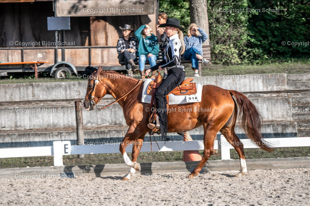 HOB07931 | BS-foto