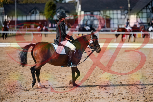 2026_10_03_Siefer-Hof_122021_Z63_42896545 | Professionelle Reitsport-, Turnier- und Eventfotografie von Robert Broda. Galerien mit ausgewählten und bearbeiteten Bildern direkt online ansehen und bestellen.
