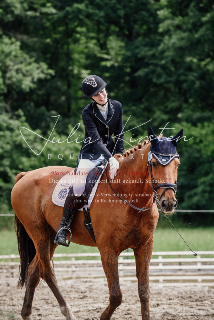 DSC_1610 | Pferde- und Turnierfotografie in Westsachsen. Pferdeportraits, Auftragszeichnungen und intuitive Kunst.