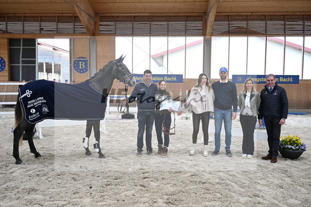 Kat-Nr. 5 Geyers Larimar v. Cizero Z_Geyer_5251461 | hf-fotografie - Realisiert mit Pictrs.com