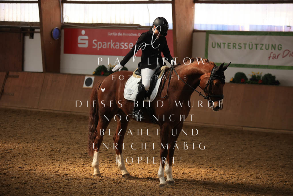 IMGT8016 | pl-fotografie