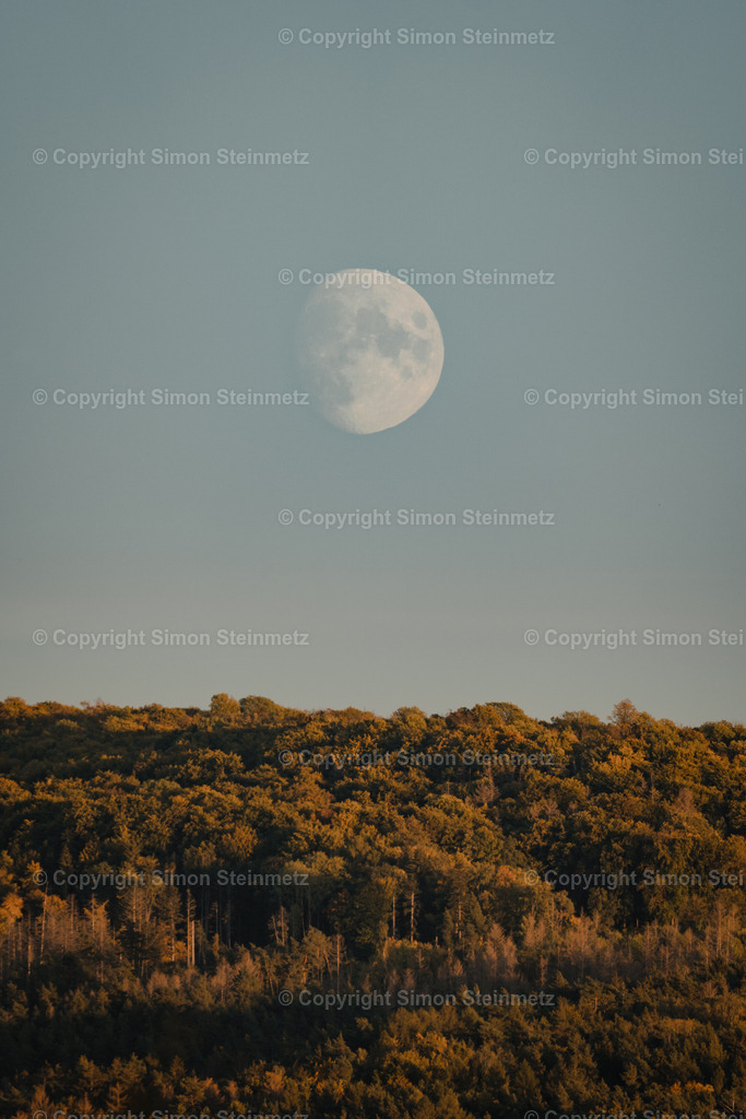 DSC04927 | Die schönsten Landschaftsaufnahmen von Simon Steinmetz aus Oberfranken, den Alpen, den Vogesen, der Nordsee und der Ostsee.
Prints, Leinwände, Postkarten, Kalender, Tassen, Puzzles in hoher Qualität zu günstigen Preisen. 
 - Realisiert mit Pictrs.com