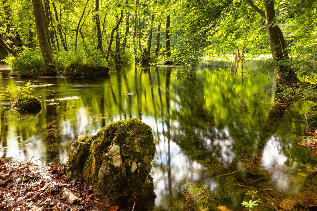 Almequellen bei Brilon | Almequellen bei Brilon - Realisiert mit Pictrs.com