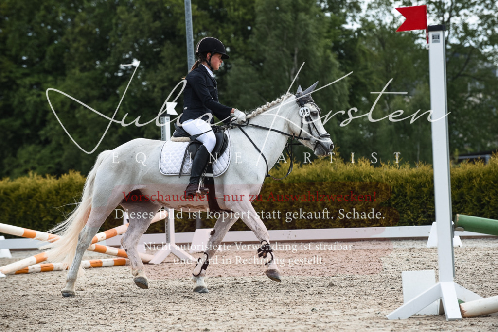 20230518_JK-Röhrsdorf-10-229 | Pferde- und Turnierfotografie in Westsachsen. Pferdeportraits, Auftragszeichnungen und intuitive Kunst.