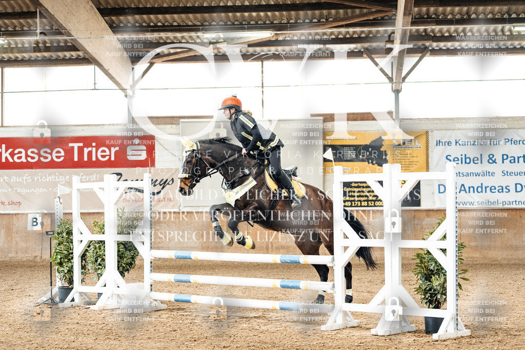 CK905379 | Turnierfotografie Pferdefotografie Trier Rheinland-Pfalz Pferdesport Reitsport Tierfotografie Sportfotografie Pferdevideo Pferdevideografie Equestrianvideography equestrianphotography  - Realized with Pictrs.com