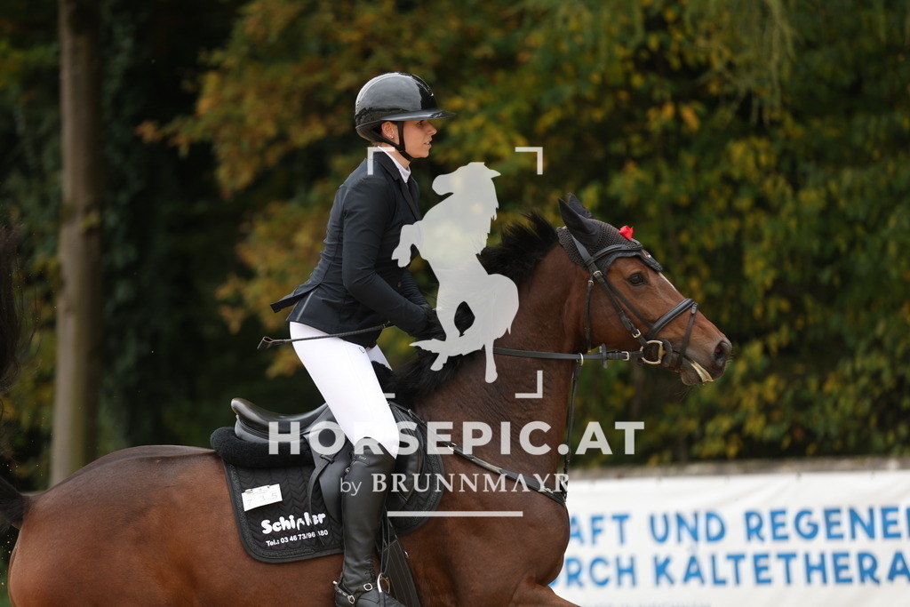 0P6A3287 | Willkommen bei Brunnmayr - Design & Fotografie – Ihrem Spezialisten für Reitturniere und Pferdeveranstaltungen in Oberösterreich, Salzburg und Bayern! Seit über 17 Jahren sind wir leidenschaftlich dabei.