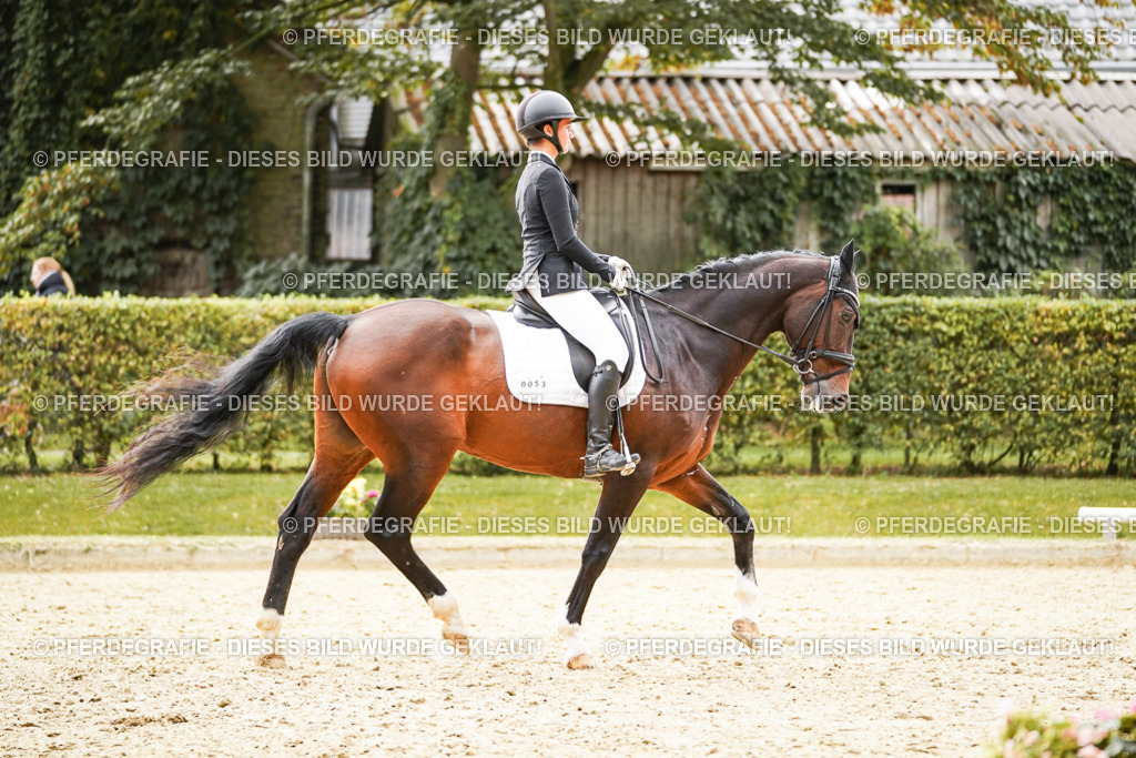 DSC09978 | Pferdegrafie