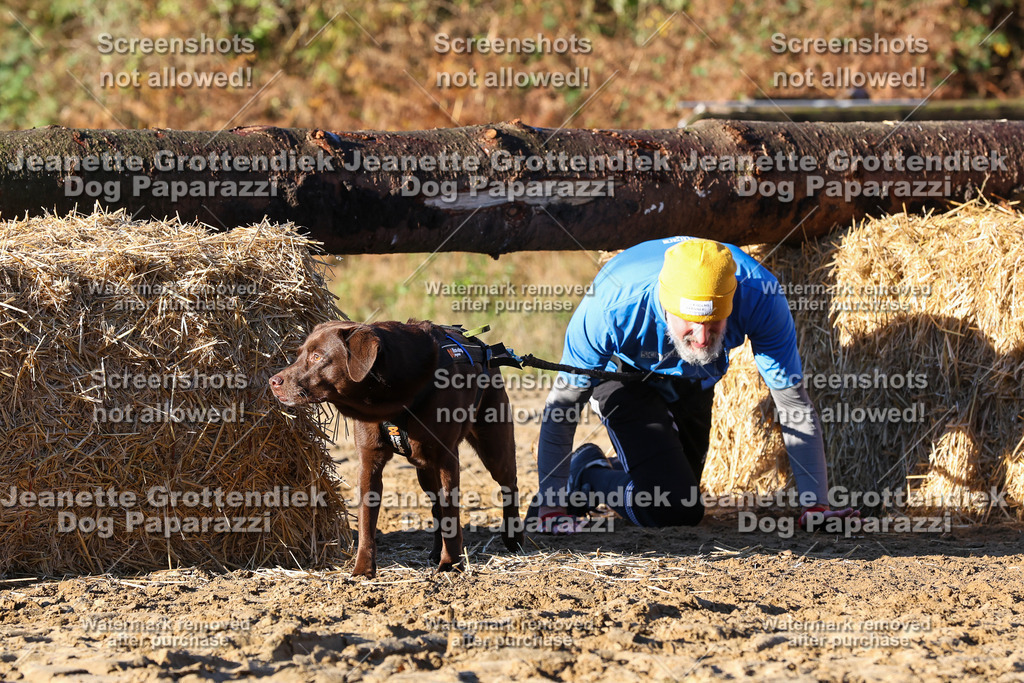 Dog Paparazzi - Strongdog 10-25-1303 | Dog Paparazzi Jeanette Grottendiek Fotografie & Videografie - Realisiert mit Pictrs.com