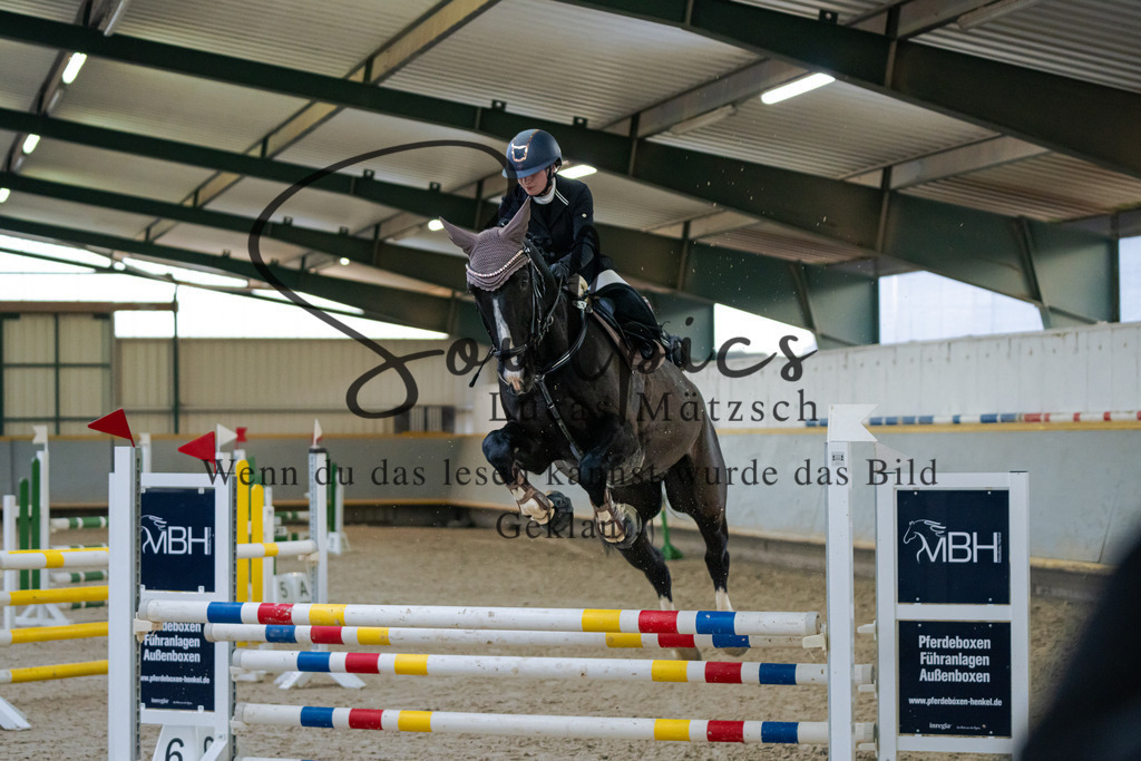 A7V02697 | Pferdefotograf