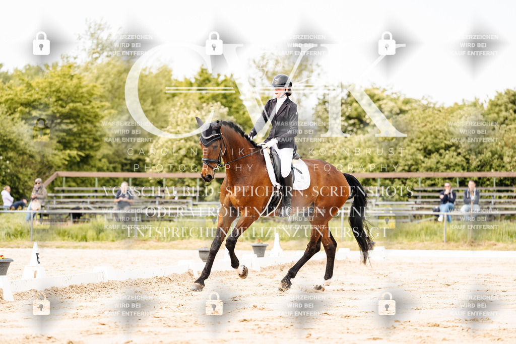 CK900784 | Turnierfotografie Pferdefotografie Trier Rheinland-Pfalz Pferdesport Reitsport Tierfotografie Sportfotografie Pferdevideo Pferdevideografie Equestrianvideography equestrianphotography  - Realisiert mit Pictrs.com
