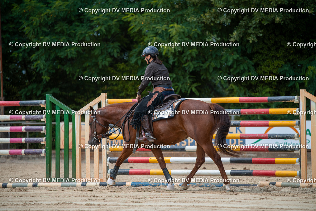 ZS2_8259 | dv-media-shop - Realisiert mit Pictrs.com