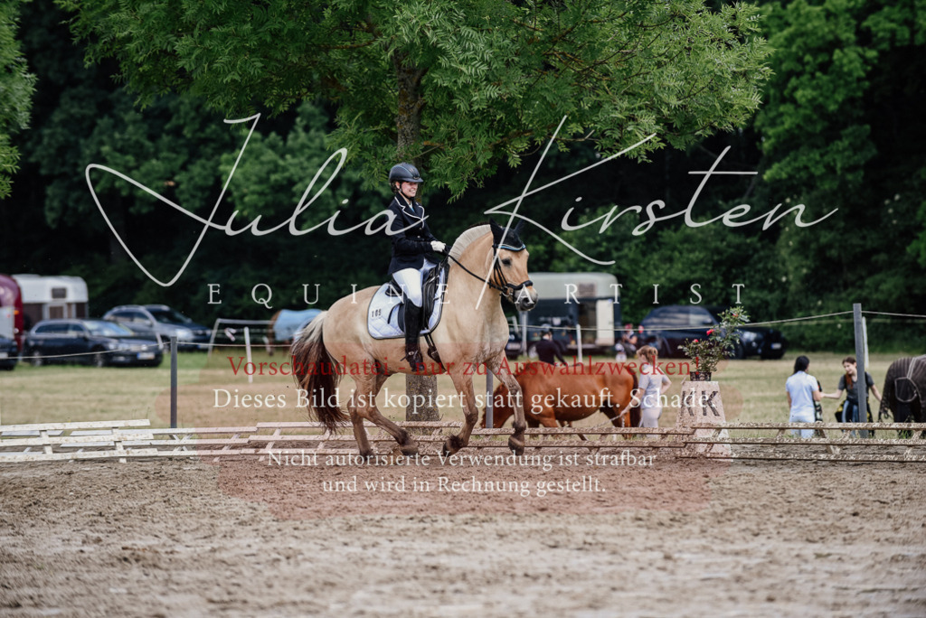 DSC_1698 | Pferde- und Turnierfotografie in Westsachsen. Pferdeportraits, Auftragszeichnungen und intuitive Kunst.