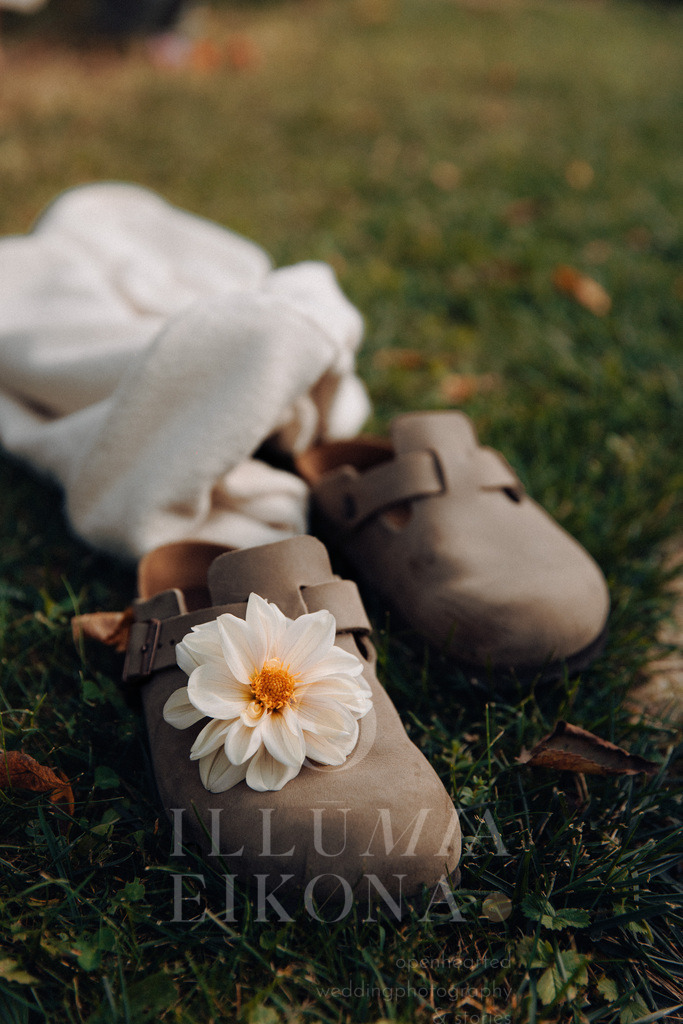 2L8A7565 | illumiaeikona.com - Realisiert mit Pictrs.com