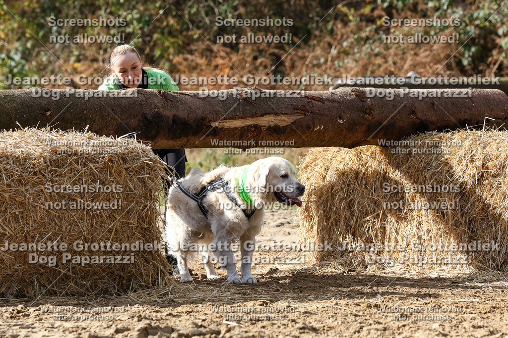Dog Paparazzi - Strongdog 10-25-5103 | Dog Paparazzi Jeanette Grottendiek Fotografie & Videografie - Realisiert mit Pictrs.com