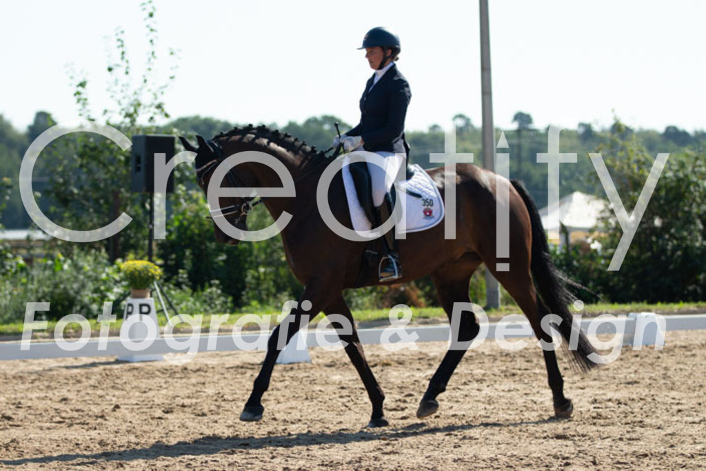 IMG_3334 | Creatify Fotografie