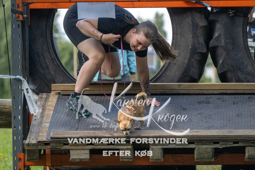 1552_ZZ94623 | kk-dogfotos