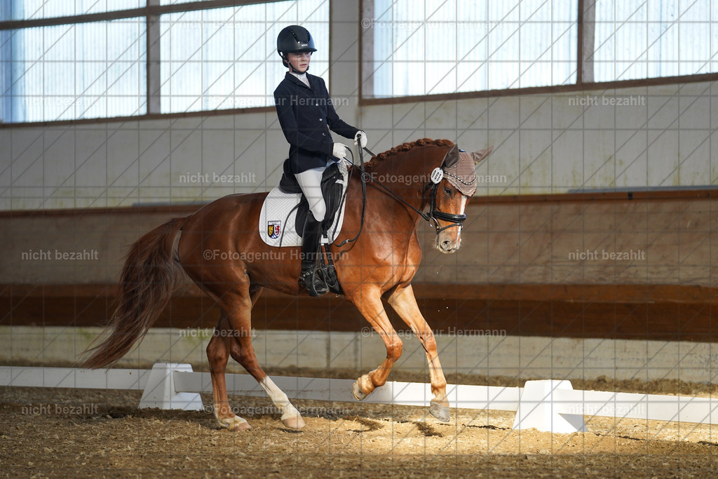 20240824-FAH07125 | Thierhaupten 2024, Bayerisches Landesponyturnier, Turnierbilder, Ponybilder, Turnierfotografen Bayern, Fotoagentur Herrmann