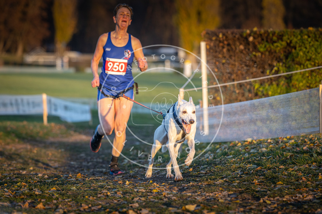 CaniXpix_DV3A5588 | Hundefotografie, Tierfotograf, Pfotenfotografie, Fotoshooting Hund, Hunde Portrait, Hundesport, Hundeportraits, Heideshooting, Hunde, Sportfotograf, Hundefotograf, Turnierhundsport, THS,  - Realisiert mit Pictrs.com