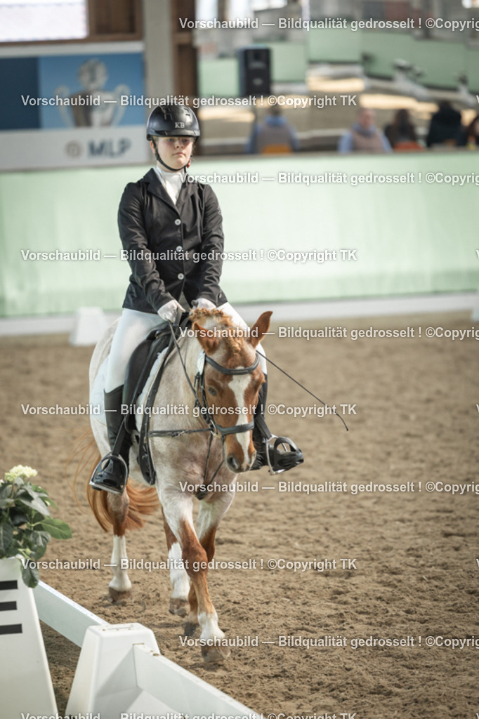 _D5A5580 | Emotionale Pferde- & People-Fotografie rund um Heidelberg, Leimen & Umgebung. Natürliche Fotos von Pferd, Mensch & Familie. Jetzt Termin sichern!