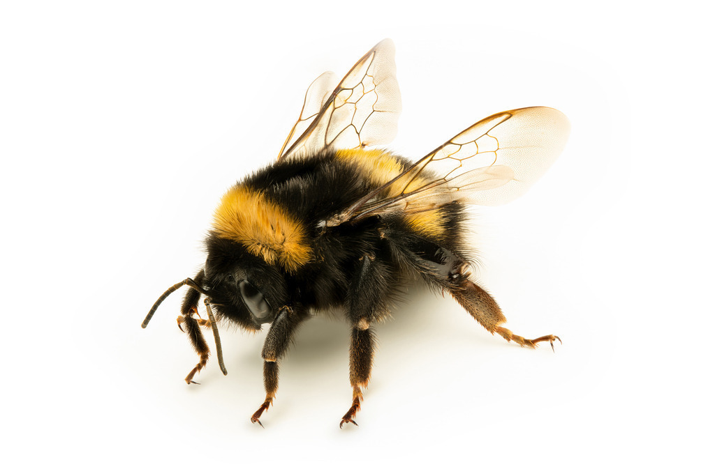 220902-Hummel_4 | Schanz & Partner - Realisiert mit Pictrs.com