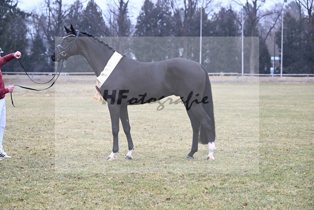 Kat.-Nr. 57 v. Feliciano_Vavrikova_3265750 | hf-fotografie - Realizzato con Pictrs.com