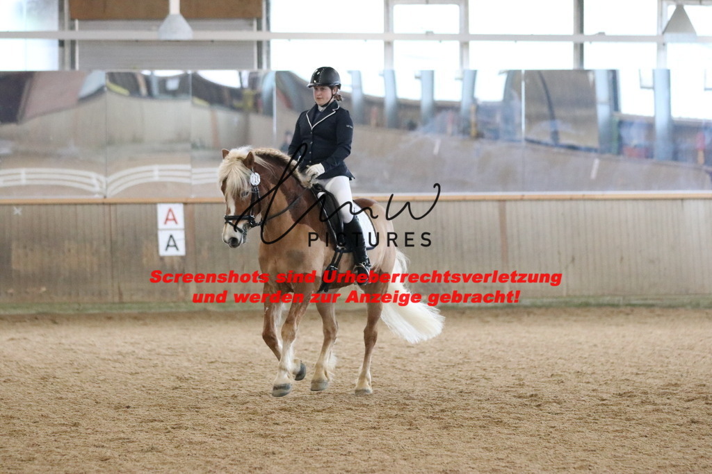 IMG_6453 | lmwpictures - Realisiert mit Pictrs.com