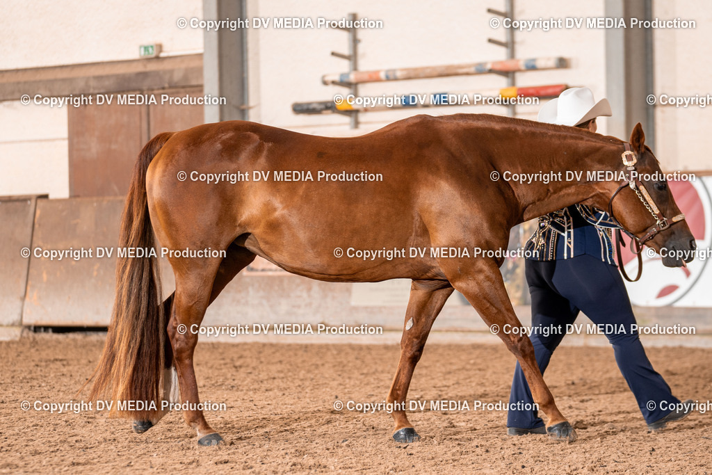 LM Heiligenwald Tag 1-080 | dv-media-shop - Realisiert mit Pictrs.com