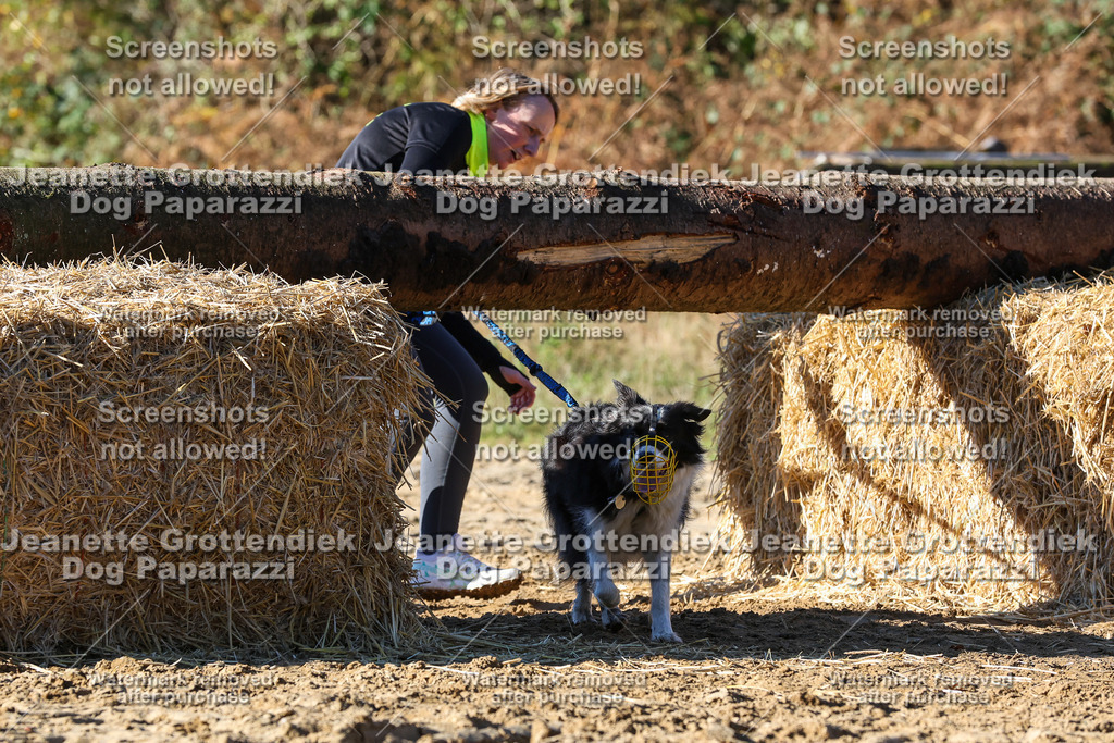 Dog Paparazzi - Strongdog 10-25-2254 | Dog Paparazzi Jeanette Grottendiek Fotografie & Videografie - Realisiert mit Pictrs.com