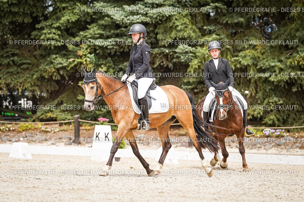 DSC04353 | Pferdegrafie