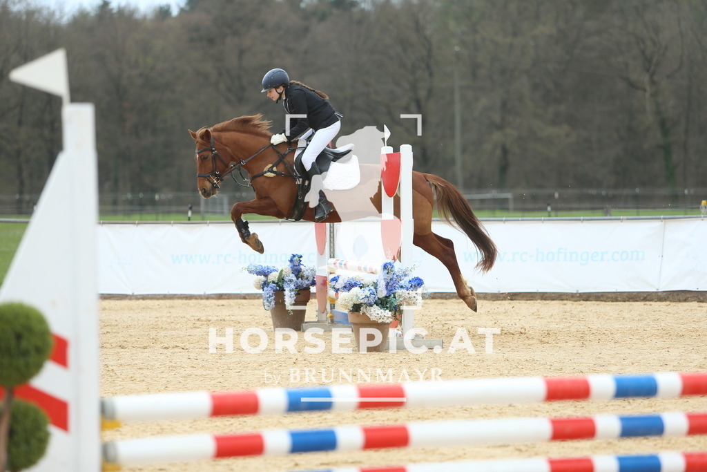 DL2Q2299 | Willkommen bei Brunnmayr - Design & Fotografie – Ihrem Spezialisten für Reitturniere und Pferdeveranstaltungen in Oberösterreich, Salzburg und Bayern! Seit über 17 Jahren sind wir leidenschaftlich dabei.