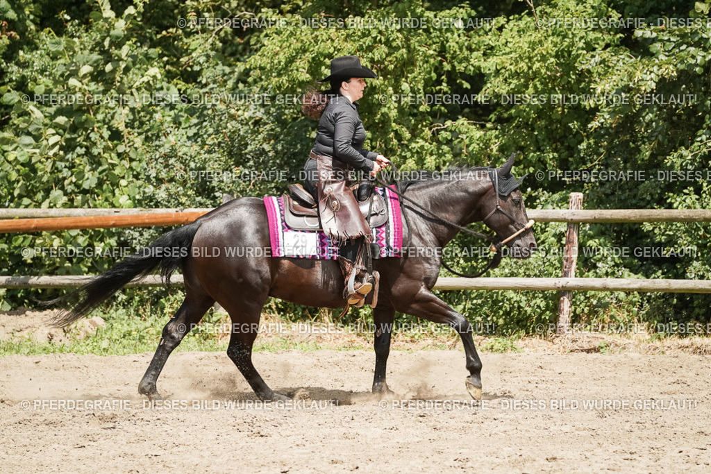 DSC09343 | Pferdegrafie