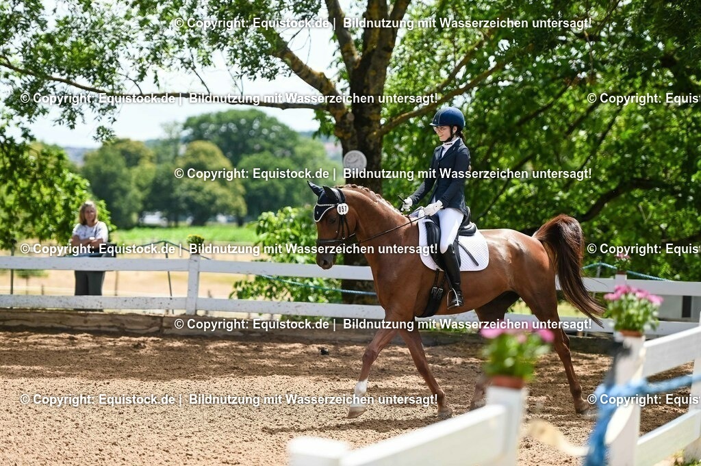20230716_03_Dressurprfg. Kl.L - Tr._0310 | equistock